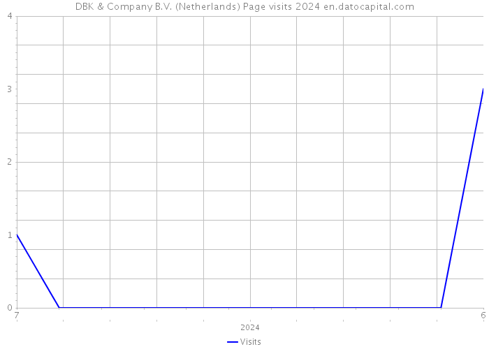 DBK & Company B.V. (Netherlands) Page visits 2024 
