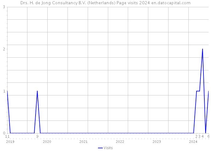 Drs. H. de Jong Consultancy B.V. (Netherlands) Page visits 2024 