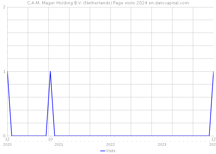 C.A.M. Mager Holding B.V. (Netherlands) Page visits 2024 