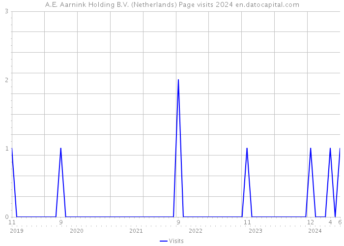 A.E. Aarnink Holding B.V. (Netherlands) Page visits 2024 
