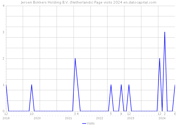 Jeroen Bokkers Holding B.V. (Netherlands) Page visits 2024 