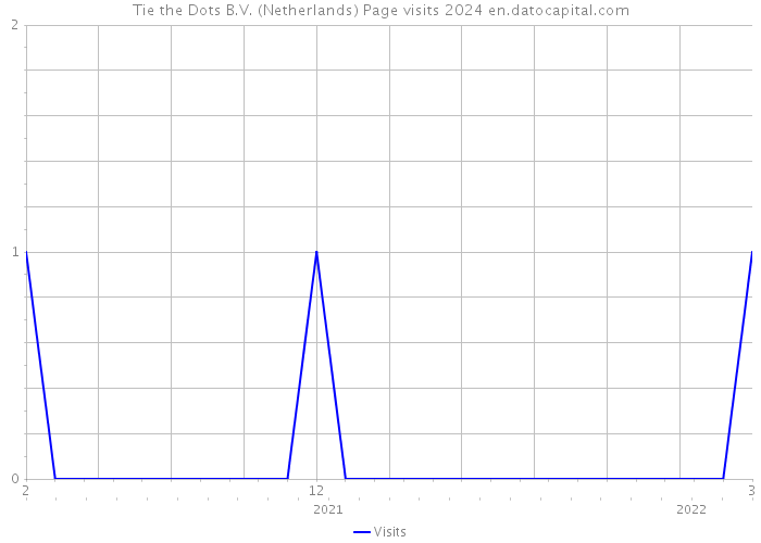 Tie the Dots B.V. (Netherlands) Page visits 2024 