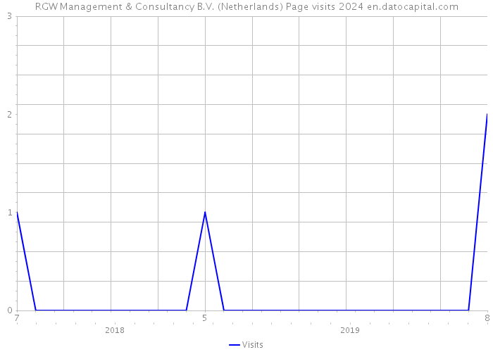 RGW Management & Consultancy B.V. (Netherlands) Page visits 2024 