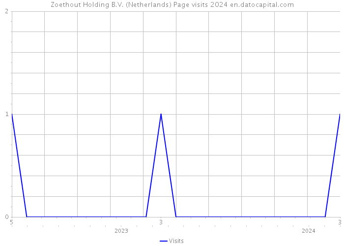 Zoethout Holding B.V. (Netherlands) Page visits 2024 