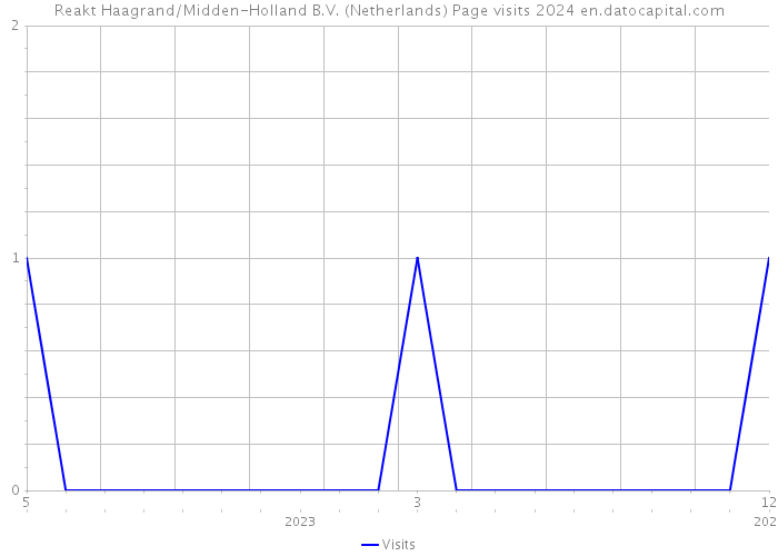 Reakt Haagrand/Midden-Holland B.V. (Netherlands) Page visits 2024 