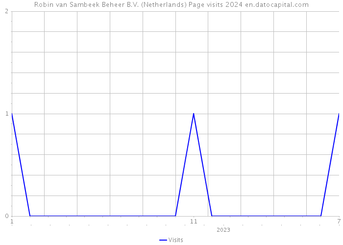 Robin van Sambeek Beheer B.V. (Netherlands) Page visits 2024 