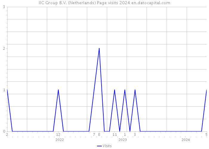 IIC Group B.V. (Netherlands) Page visits 2024 