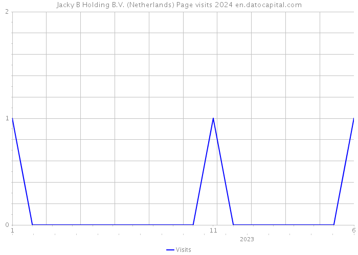 Jacky B Holding B.V. (Netherlands) Page visits 2024 