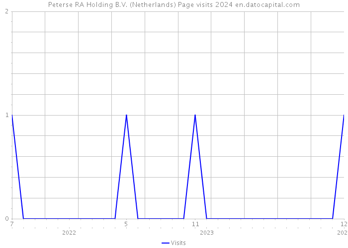 Peterse RA Holding B.V. (Netherlands) Page visits 2024 
