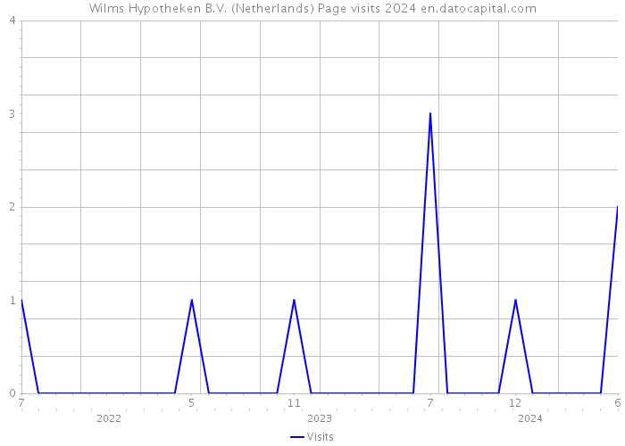 Wilms Hypotheken B.V. (Netherlands) Page visits 2024 