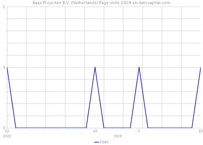 Baas Projecten B.V. (Netherlands) Page visits 2024 