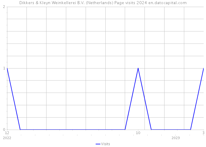 Dikkers & Kleyn Weinkellerei B.V. (Netherlands) Page visits 2024 