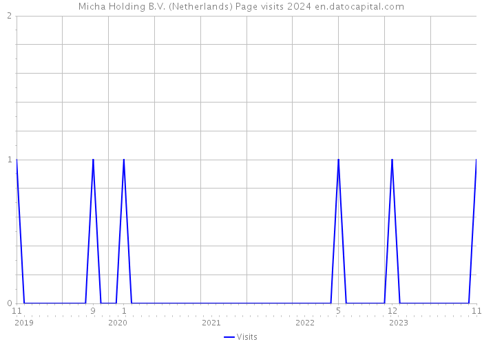 Micha Holding B.V. (Netherlands) Page visits 2024 