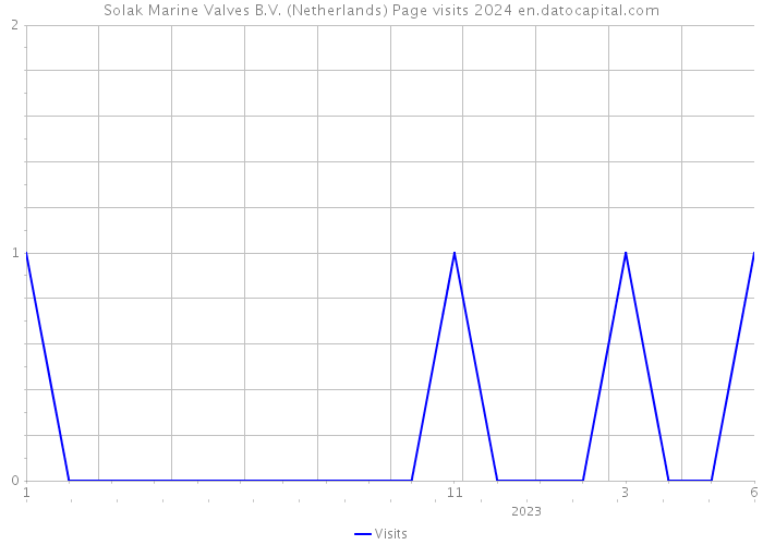 Solak Marine Valves B.V. (Netherlands) Page visits 2024 