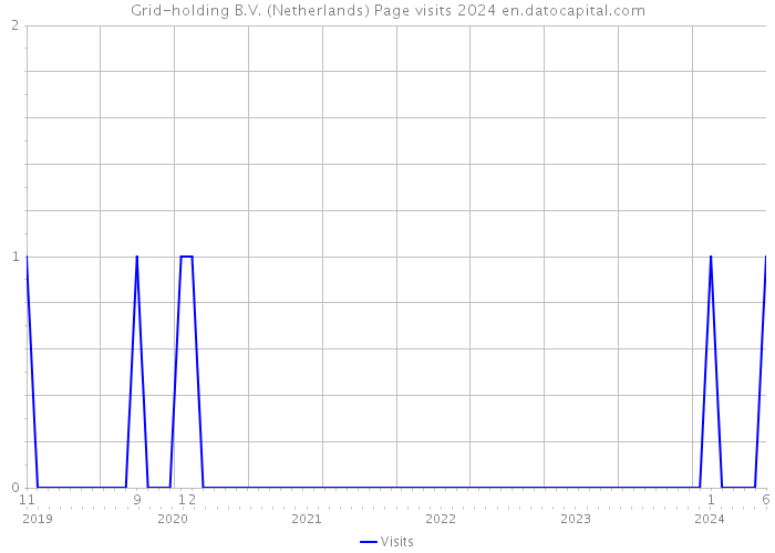 Grid-holding B.V. (Netherlands) Page visits 2024 