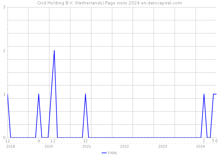 Grid Holding B.V. (Netherlands) Page visits 2024 