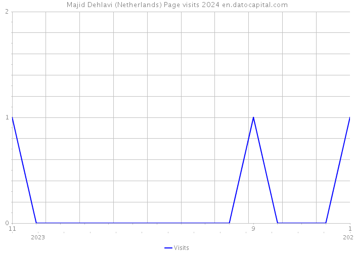 Majid Dehlavi (Netherlands) Page visits 2024 