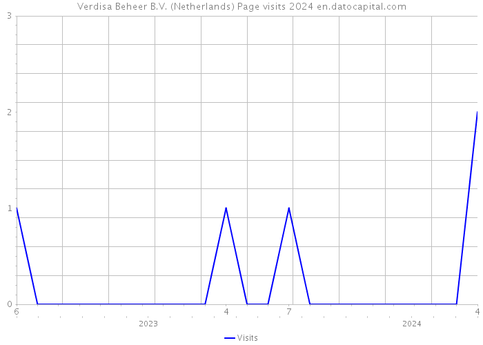 Verdisa Beheer B.V. (Netherlands) Page visits 2024 