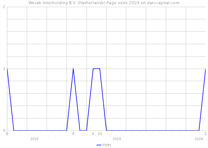 Wevab Interholding B.V. (Netherlands) Page visits 2024 