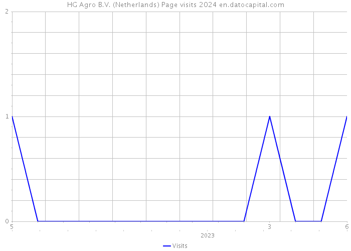 HG Agro B.V. (Netherlands) Page visits 2024 