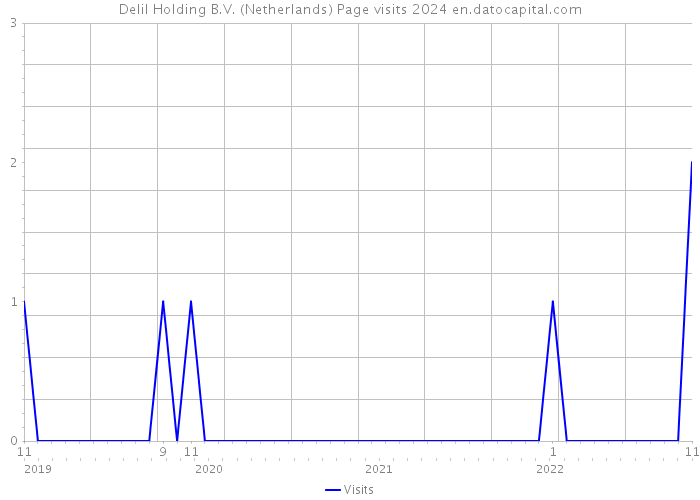 Delil Holding B.V. (Netherlands) Page visits 2024 