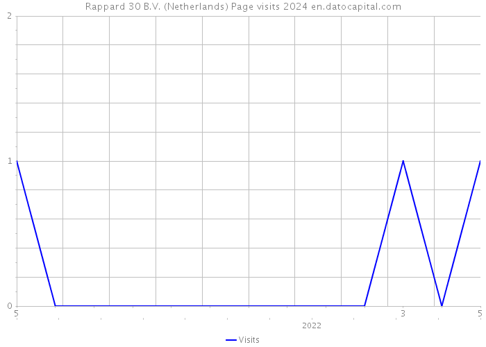 Rappard 30 B.V. (Netherlands) Page visits 2024 