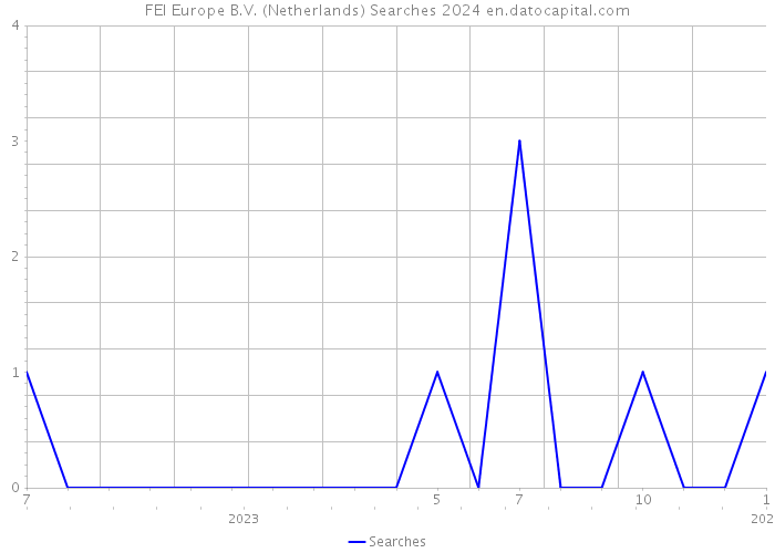 FEI Europe B.V. (Netherlands) Searches 2024 