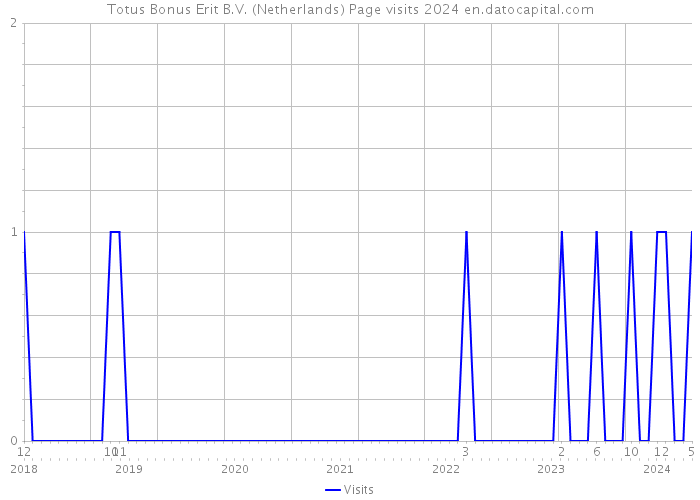 Totus Bonus Erit B.V. (Netherlands) Page visits 2024 