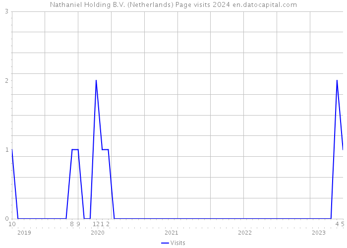 Nathaniel Holding B.V. (Netherlands) Page visits 2024 