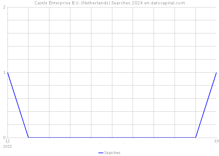 Castle Enterprise B.V. (Netherlands) Searches 2024 