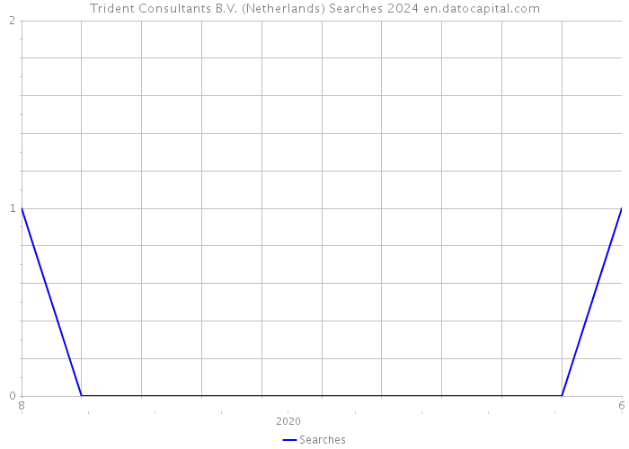 Trident Consultants B.V. (Netherlands) Searches 2024 