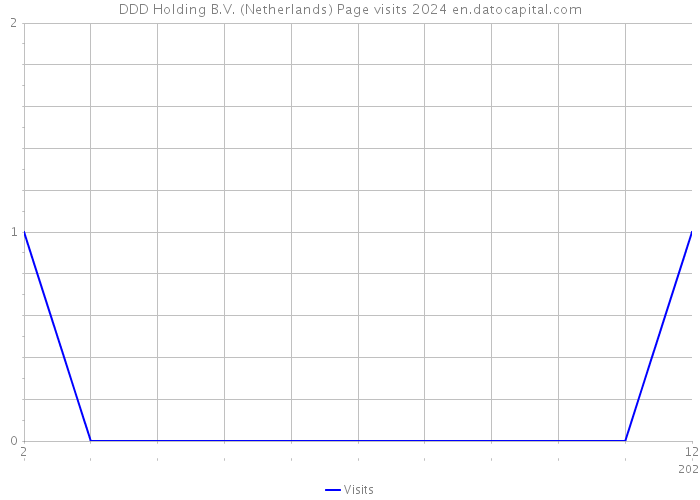 DDD Holding B.V. (Netherlands) Page visits 2024 