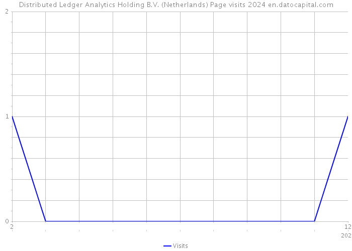 Distributed Ledger Analytics Holding B.V. (Netherlands) Page visits 2024 