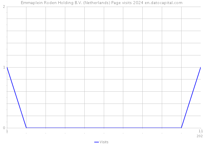 Emmaplein Roden Holding B.V. (Netherlands) Page visits 2024 