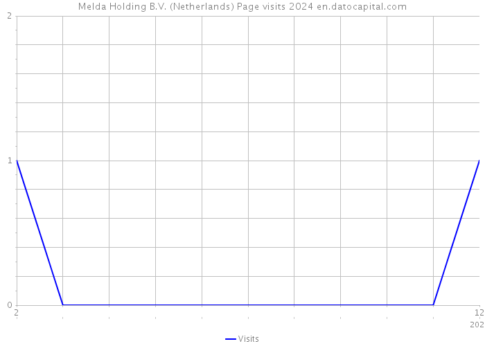 Melda Holding B.V. (Netherlands) Page visits 2024 