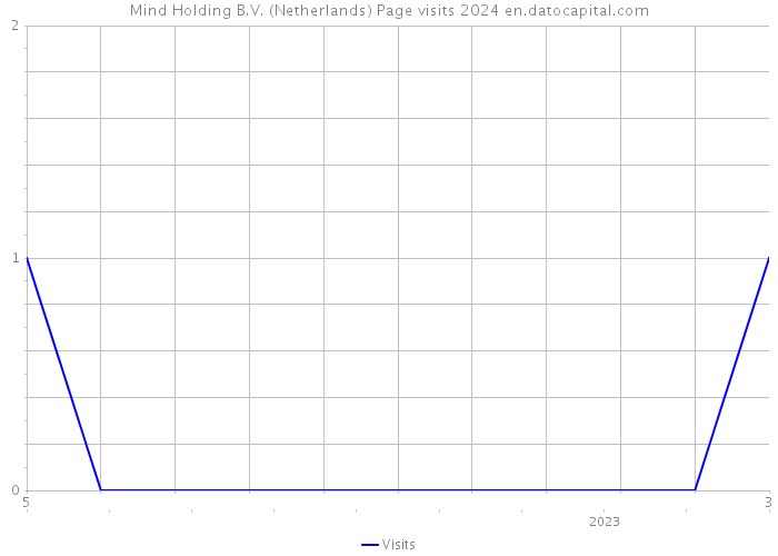 Mind Holding B.V. (Netherlands) Page visits 2024 