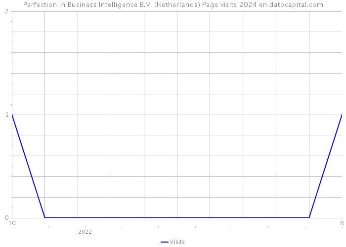Perfection in Business Intelligence B.V. (Netherlands) Page visits 2024 