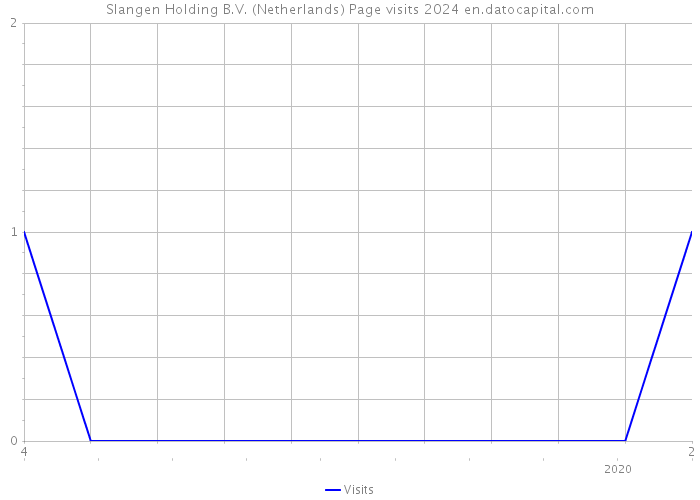 Slangen Holding B.V. (Netherlands) Page visits 2024 