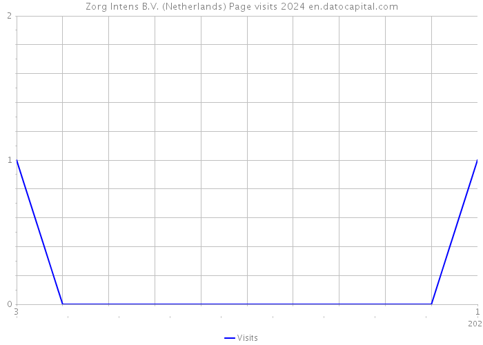 Zorg Intens B.V. (Netherlands) Page visits 2024 