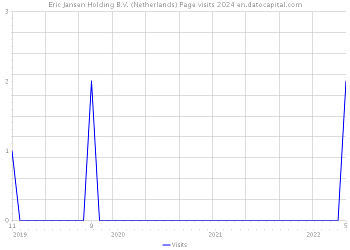 Eric Jansen Holding B.V. (Netherlands) Page visits 2024 