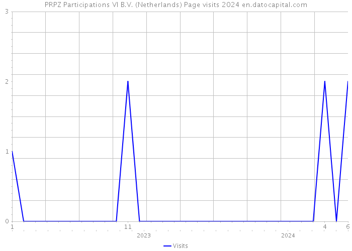 PRPZ Participations VI B.V. (Netherlands) Page visits 2024 