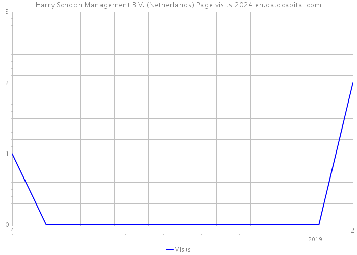 Harry Schoon Management B.V. (Netherlands) Page visits 2024 