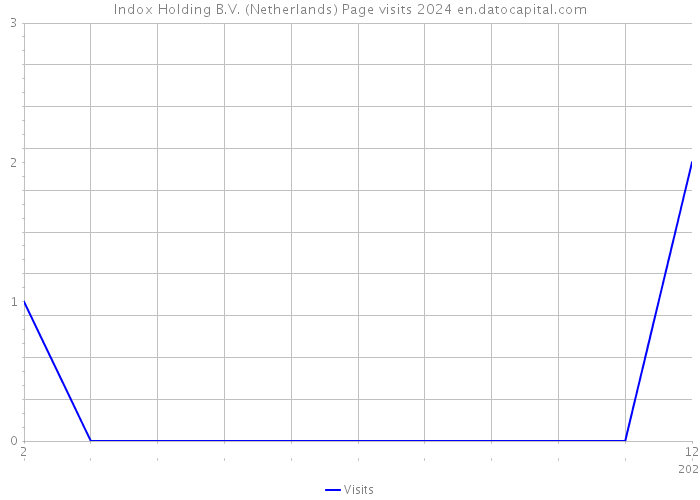 Indox Holding B.V. (Netherlands) Page visits 2024 