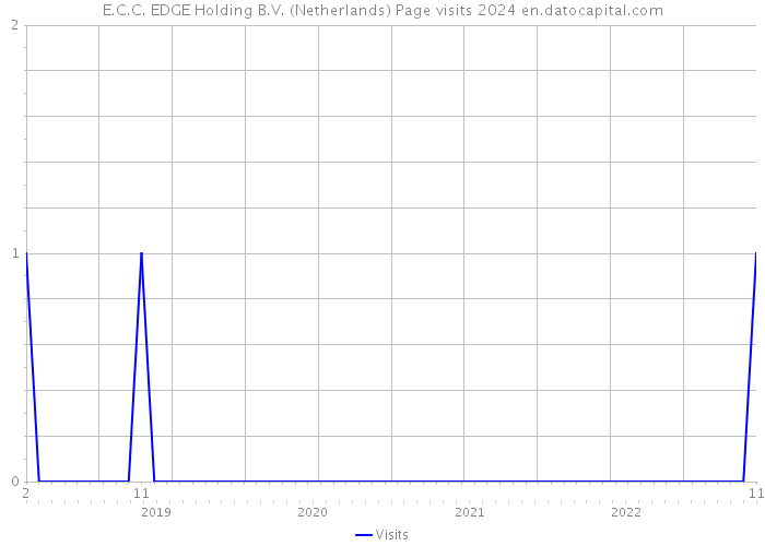 E.C.C. EDGE Holding B.V. (Netherlands) Page visits 2024 