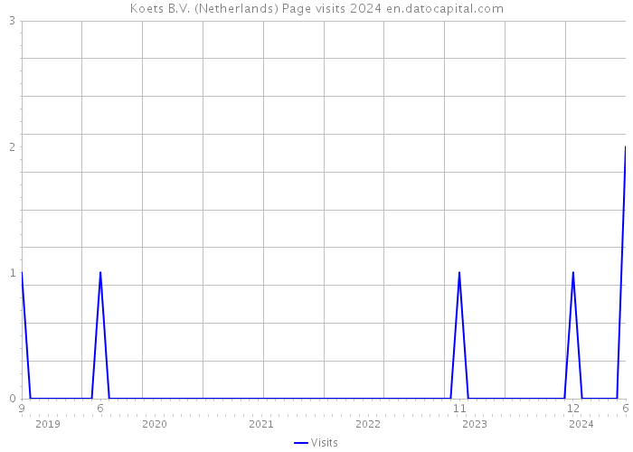 Koets B.V. (Netherlands) Page visits 2024 
