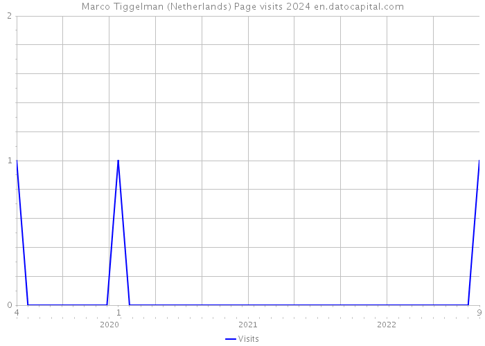 Marco Tiggelman (Netherlands) Page visits 2024 