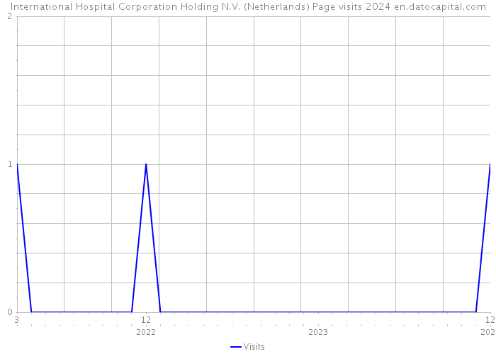 International Hospital Corporation Holding N.V. (Netherlands) Page visits 2024 