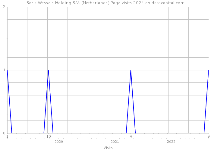 Boris Wessels Holding B.V. (Netherlands) Page visits 2024 