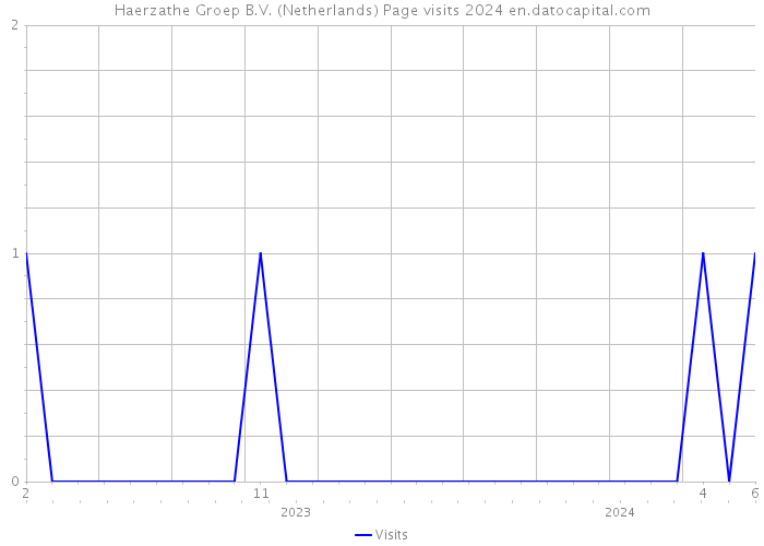 Haerzathe Groep B.V. (Netherlands) Page visits 2024 