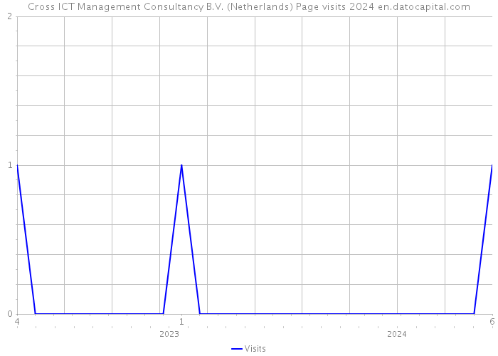 Cross ICT Management Consultancy B.V. (Netherlands) Page visits 2024 